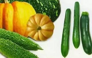 曹县的瓜在哪吃,品味乡愁的甜蜜之旅  第2张